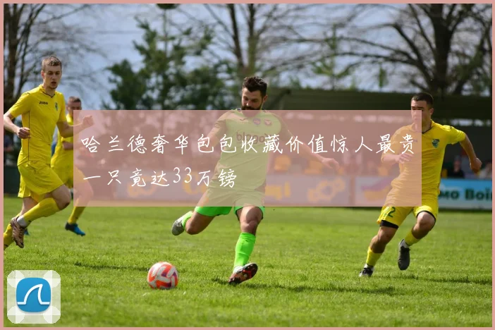 哈兰德奢华包包收藏价值惊人最贵一只竟达33万镑