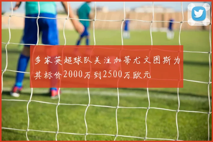 多家英超球队关注加蒂尤文图斯为其标价2000万到2500万欧元